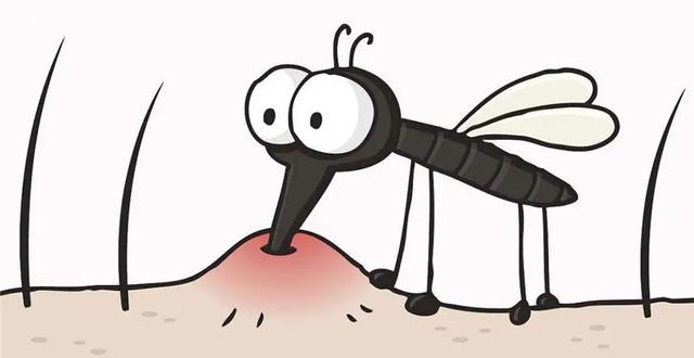 被蚊子咬了怎么止痒消肿用牙膏行吗（被蚊子咬了怎么止痒消肿没有药物的情况下）